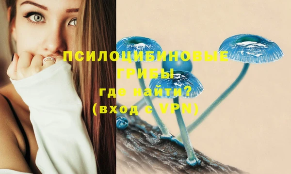 стафф Алзамай