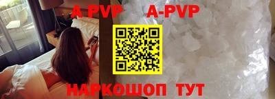 гашик Камышлов