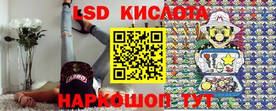 гашик Камышлов