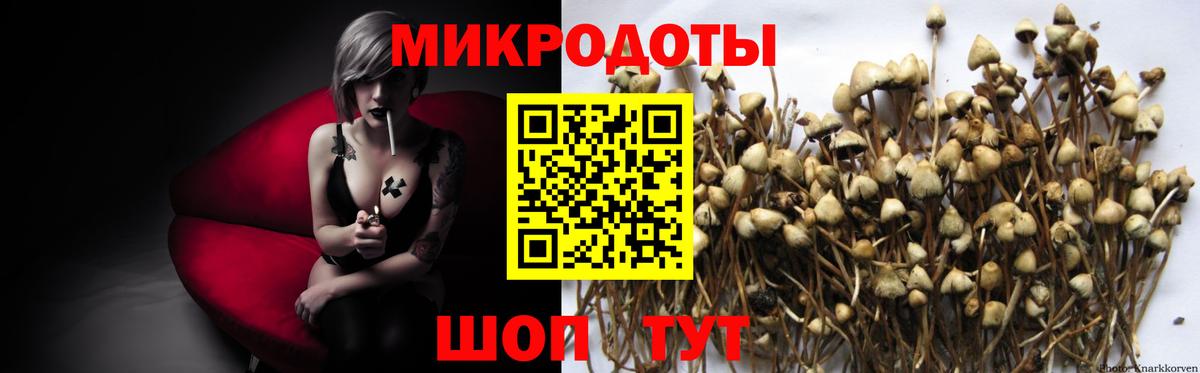 Псилоцибиновые грибы Лангепас